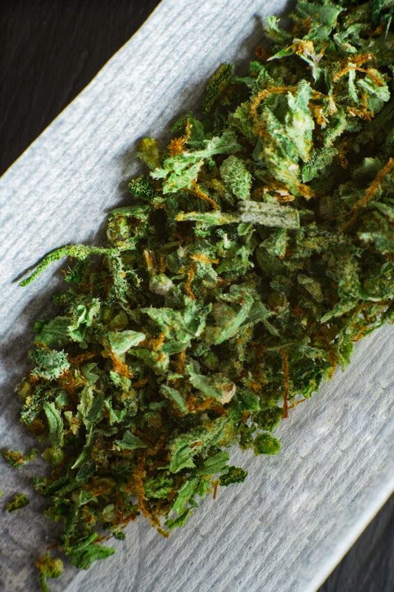Macro of marijuana weed cannabis in a joint on the background of a black wooden table